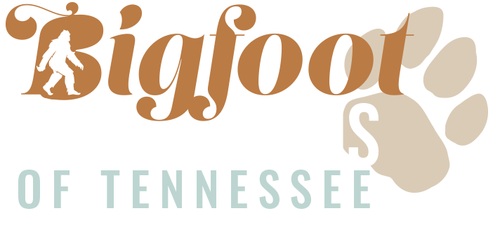 Bigfoot Maine Coons of Tennessee Logo
